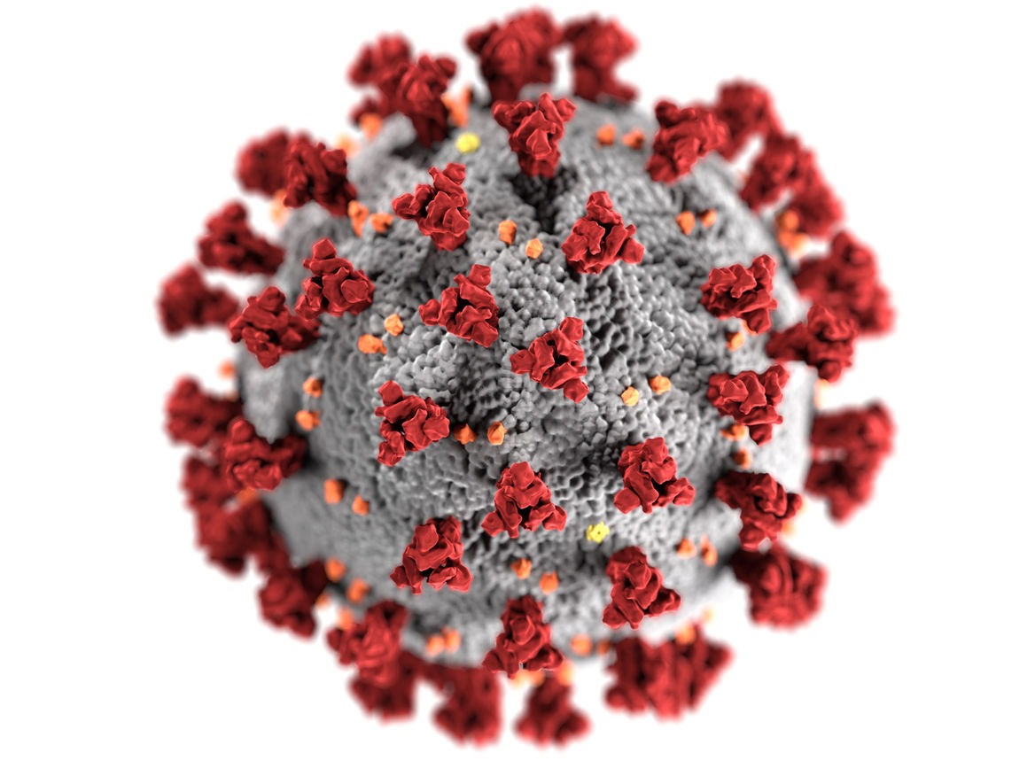 3D rendering of a coronavirus particle with red spike proteins