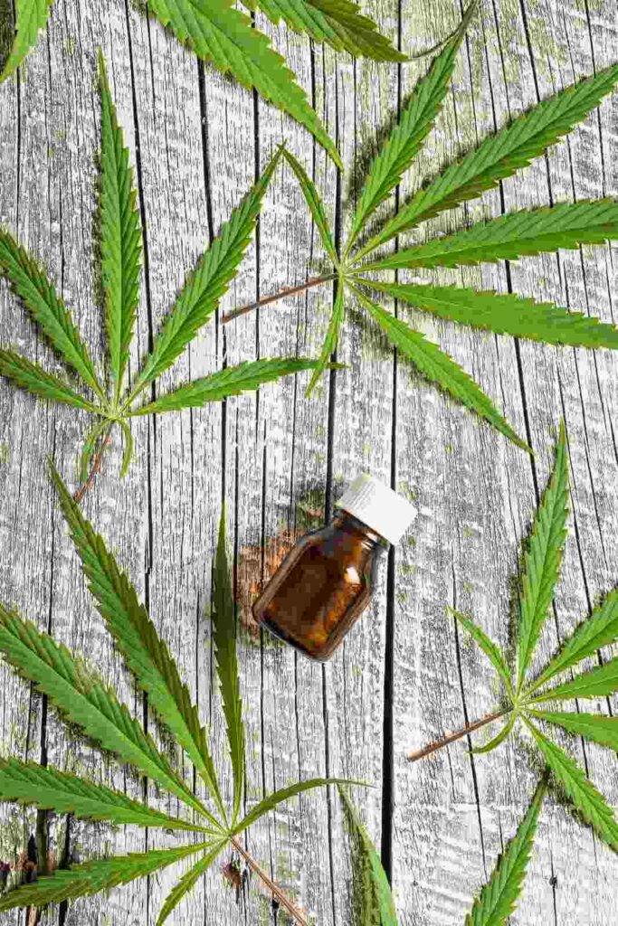 CBD oil: calm, balance, restore Marijuana cannabis leaves with cannabis oil extract in a glass jar, representing TMBTQ Law’s legal services related to cannabis laws and regulations.