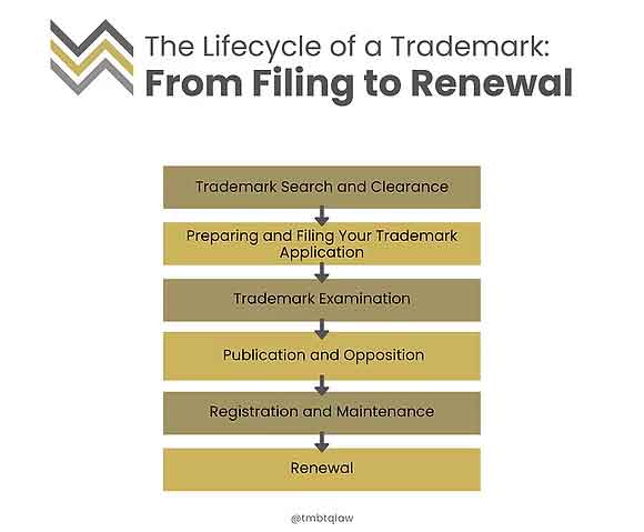 Infographic of the trademark lifecycle: search, filing, examination, publication, registration and renewal