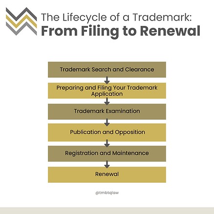 Trademark Lifecycle Steps Graphic Infographic of the trademark lifecycle: search, filing, examination, publication, registration and renewal