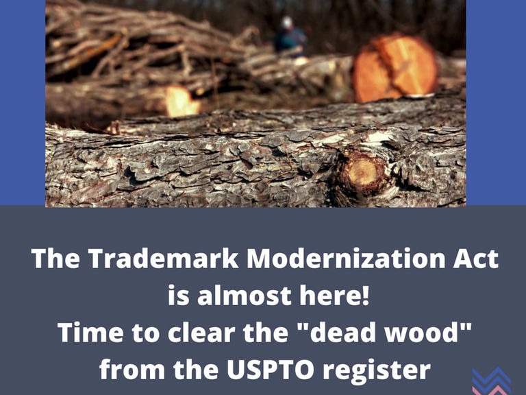 Illustration of using the Trademark Modernization Act, featuring TMBTQ Law, highlighting website services related to trademark legal assistance.